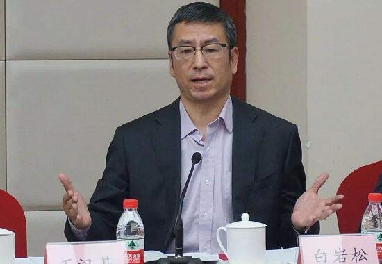 武漢“封城”效果是否明顯？上班后食堂集中用餐如何防護(hù)？白巖松連線